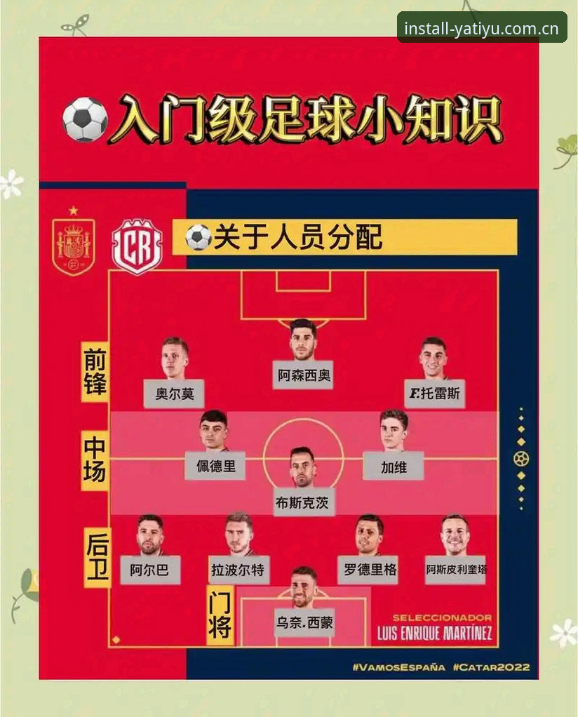 世界杯扩军66队实用指南：中国男足重返舞台的必备知识